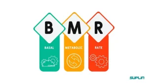 متابولیسم پایه (BMR) چیست؟