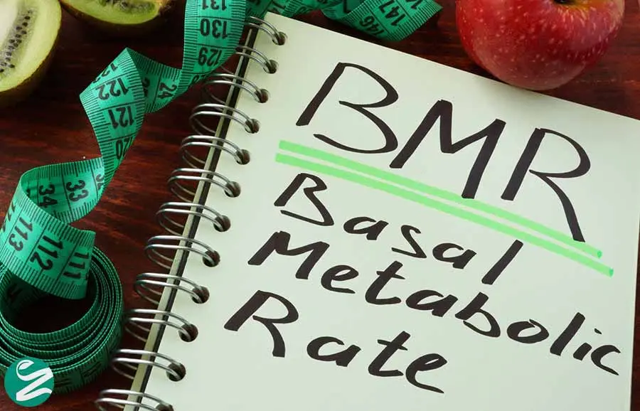 متابولیسم پایه (BMR) چیست؟