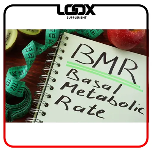 متابولیسم پایه (BMR) چیست؟